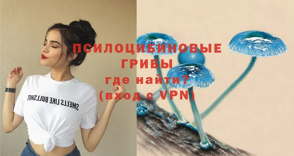 мяу мяу мука Михайлов
