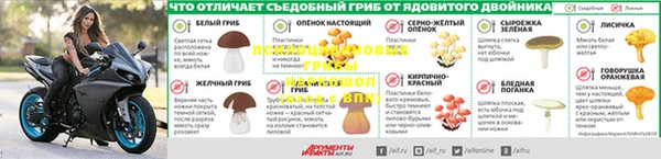 мяу мяу мука Михайлов