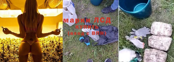 мяу мяу мука Михайловск