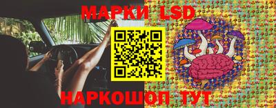 ГАЛЛЮЦИНОГЕННЫЕ ГРИБЫ Нальчик
