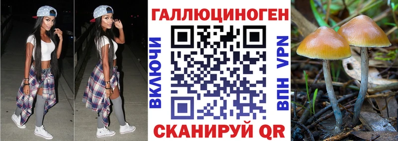 Псилоцибиновые грибы мухоморы  ОМГ ОМГ tor  Тайшет 