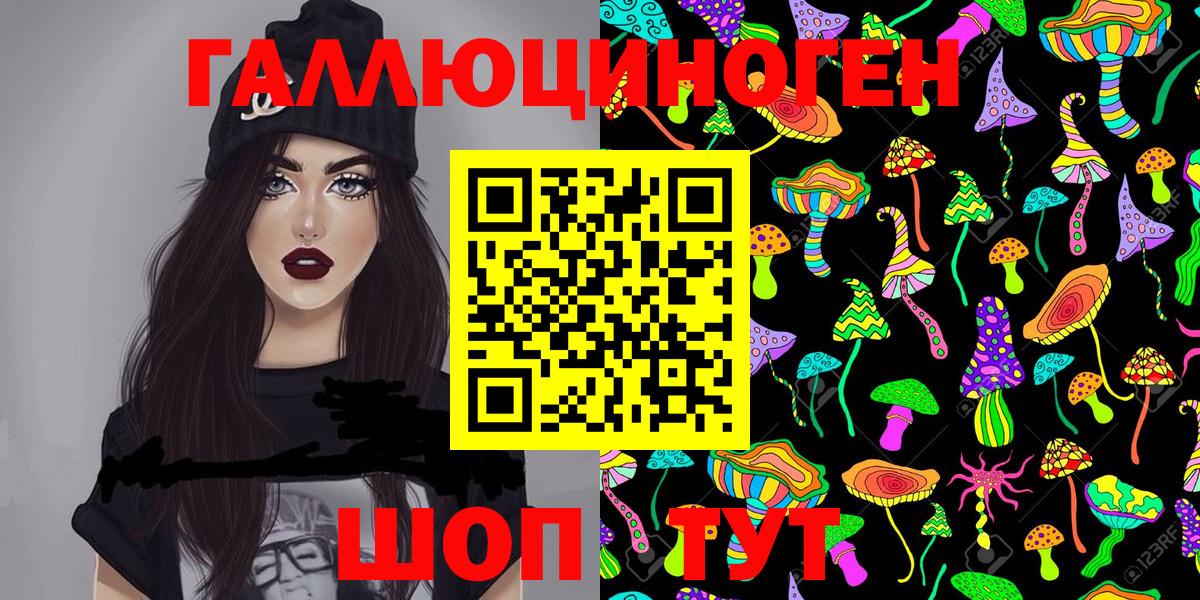 Тайшет  Псилоцибиновые грибы Psilocybe  Вход с VPN  Псилоцибиновые грибы Cubensis 