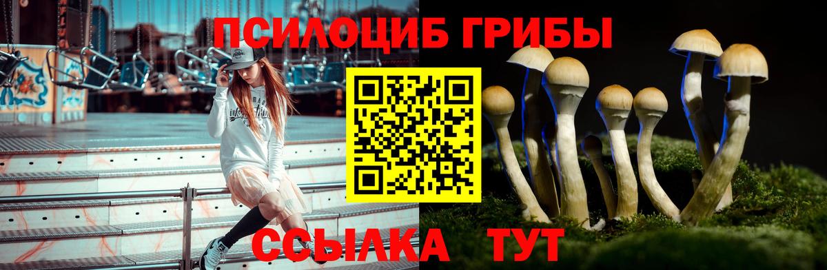 Псилоцибиновые грибы Magic Shrooms Тайшет